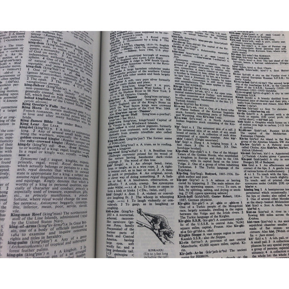 Funk & Wagnalls New Comprehensive International Dictionary Volume 1 & 2 Deluxe - Picture 13 of 16